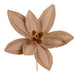 17"Dia Poinsettia Pick Natural XS413718