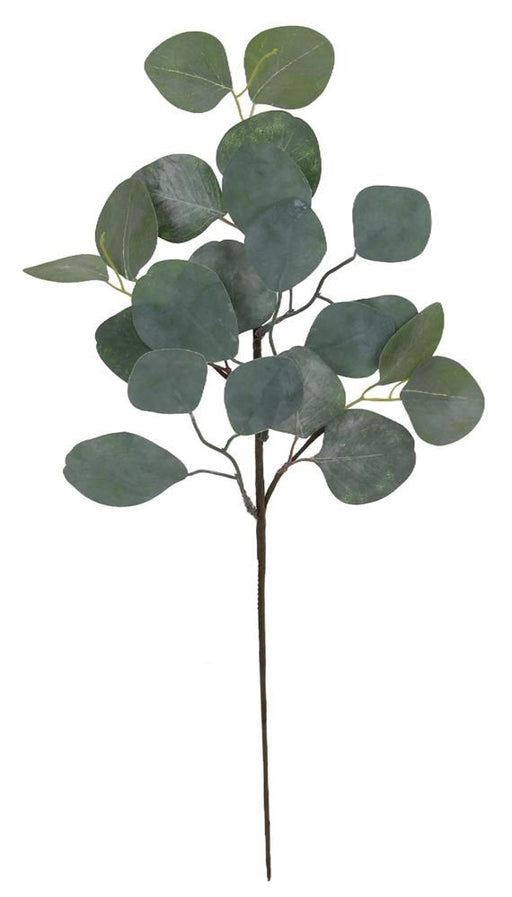 18.5"L Silver Dollar Eucalyptus Pick Multi Sage XX8405