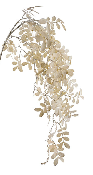 35"L Dusted Leaf Hanging Spray Cream FG689637
