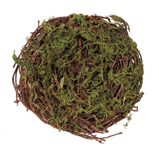 4"DIA Angel Vine Bird Nest Natural W/Green Moss KX2408H9