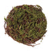 4"DIA Angel Vine Bird Nest Natural W/Green Moss KX2408H9
