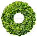 Boxwood Wreath Base DCO W 00089 DH 22’’ Door Hanger 22’’ Door Hanger