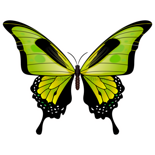 Butterfly Door Hanger Green Decoe-W-903733-Dh 22’ Wood