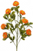 Button Zinnia Spray X7 34’’ Mtf24321-Orng Greenery