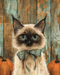 Cat Sign Fall Dco-01725 For Wreath 8X10’ Metal