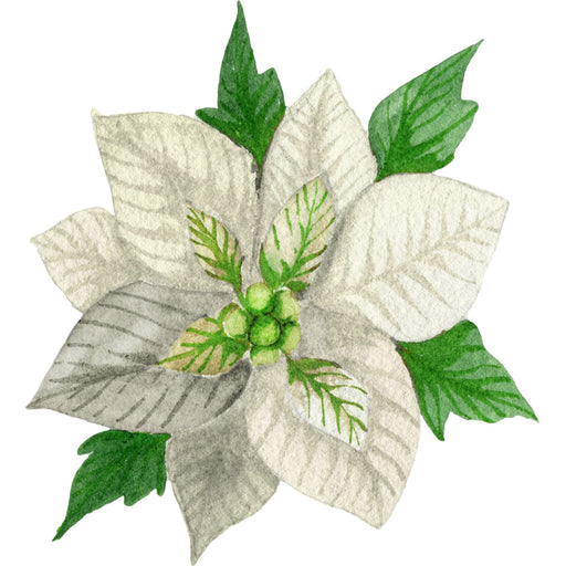 Christmas Sign White Poinsettia Wood Sign Decoe-W-903433 22 Door Hanger