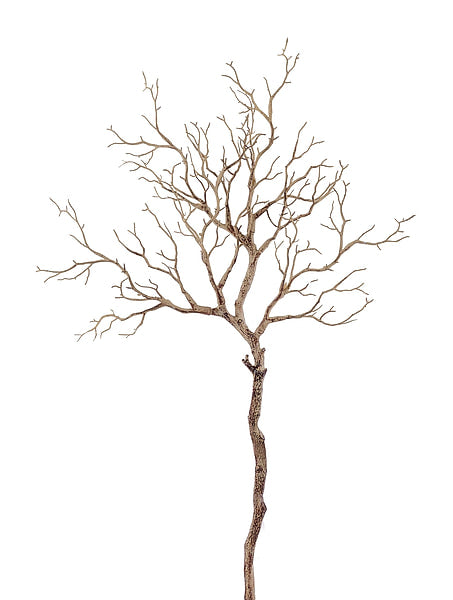36"L Wild Twig Branch Cream/Brown FT185546
