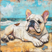 Dog Sign, English Bulldog Sign, DCO-12949, Sign For Wreath, 10x10" Metal Sign
