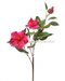 Double Hibiscus & Bud 29’’ Mtf24136-Fush Greenery