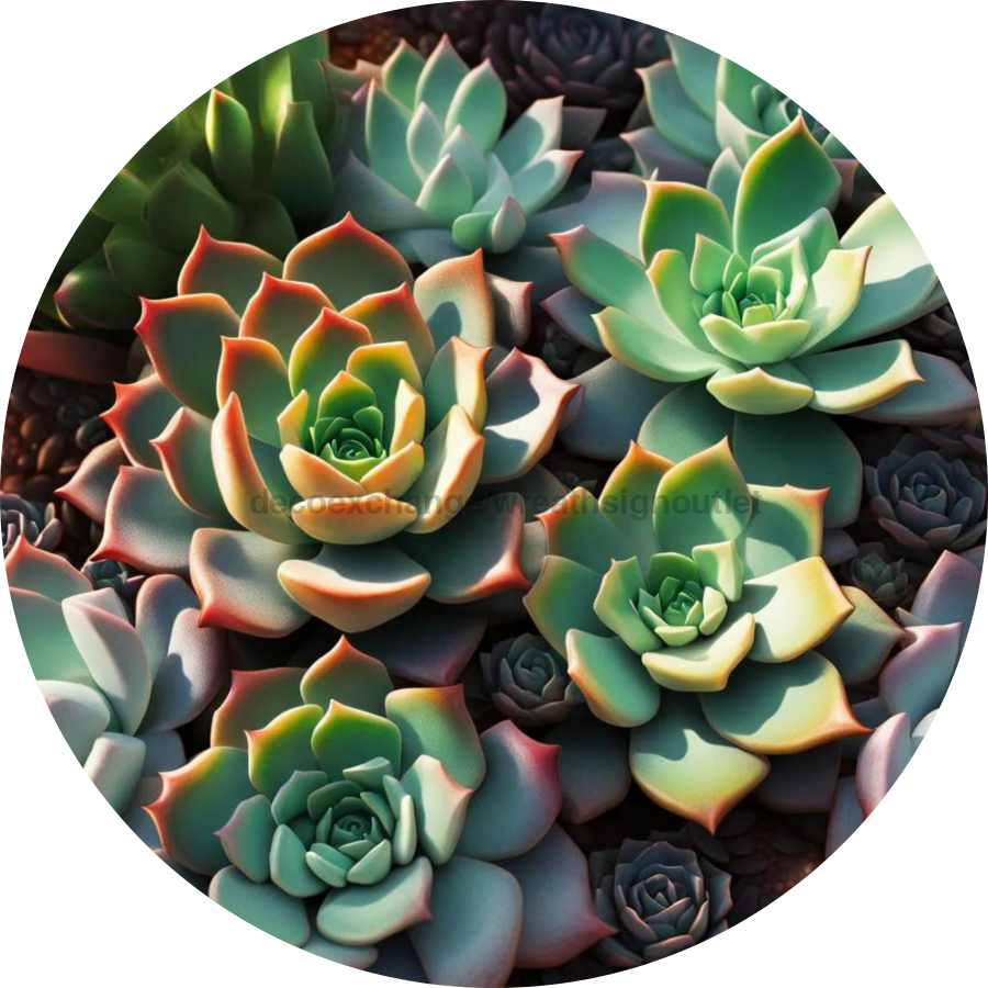 symbol of succulents Flower Center Sign, Succulent Sign, SC-FC-0009, 6" Metal Round —  DecoExchange®