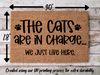 Funny Doormat, Coir Doormat, Welcome Mat, Housewarming Gift, The Cats Are in Charge, We Just Live Here Welcome Doormat, Cats Front Door Doormat, Welcome Doormat, New Homeowner Gift DECOE-CM-093 - DecoExchange®