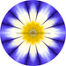 Geometric Flower Center Blue Decoe-W-Fc-0009 6 Wood