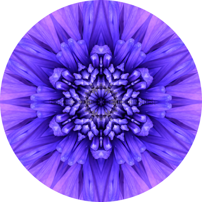 Geometric Flower Center Blue Decoe-W-Fc-0012 6 Wood