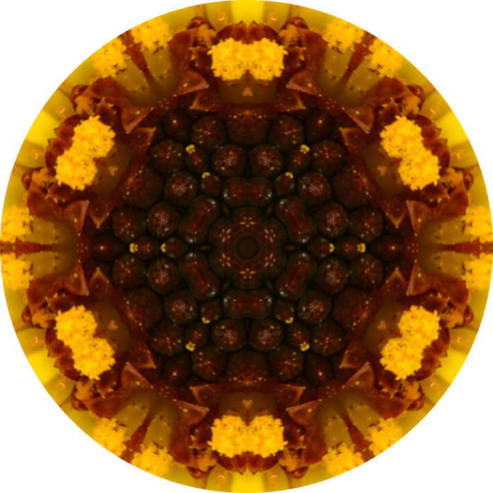 Geometric Flower Center Brown Decoe-W-Fc-0013 6 Wood