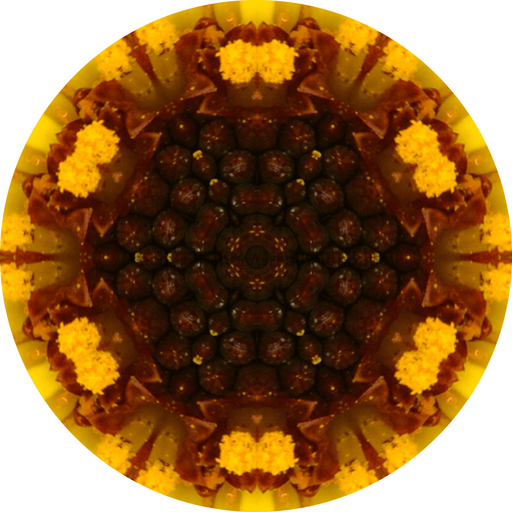 Geometric Flower Center Brown Decoe-W-Fc-0013 6 Wood