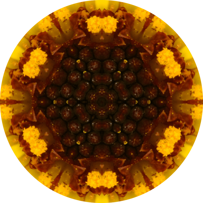 Geometric Flower Center Brown Decoe-W-Fc-0013 6 Wood