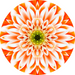 Geometric Flower Center Orange Decoe-W-Fc-0006 6 Wood