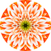 Geometric Flower Center Orange Decoe-W-Fc-0006 6 Wood