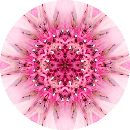 Geometric Flower Center Pink Decoe-Fc-0007 6 metal