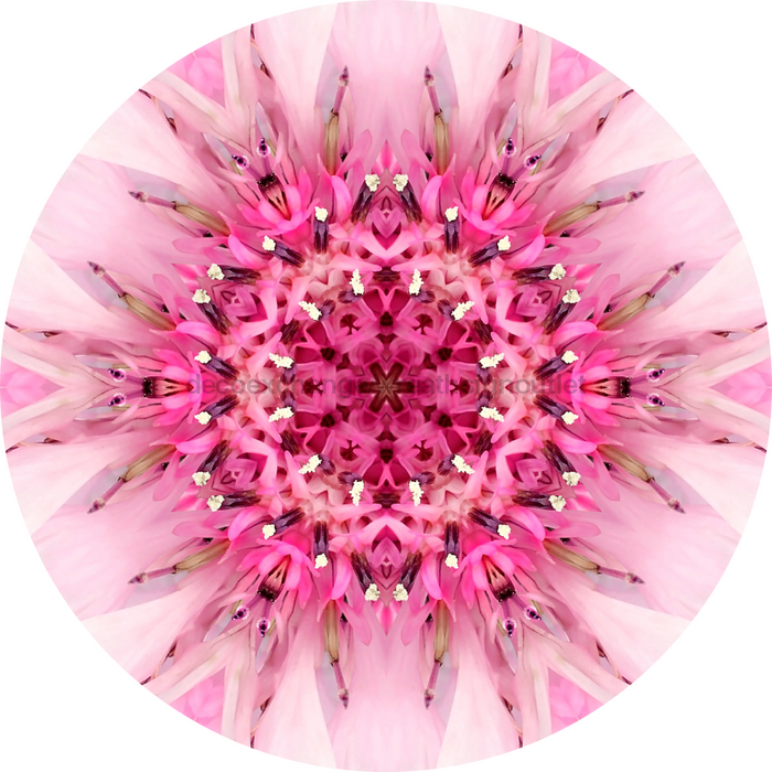 Geometric Flower Center Pink Decoe-Fc-0007 6 metal