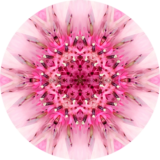 Geometric Flower Center Pink Decoe-W-Fc-0007 6 Wood