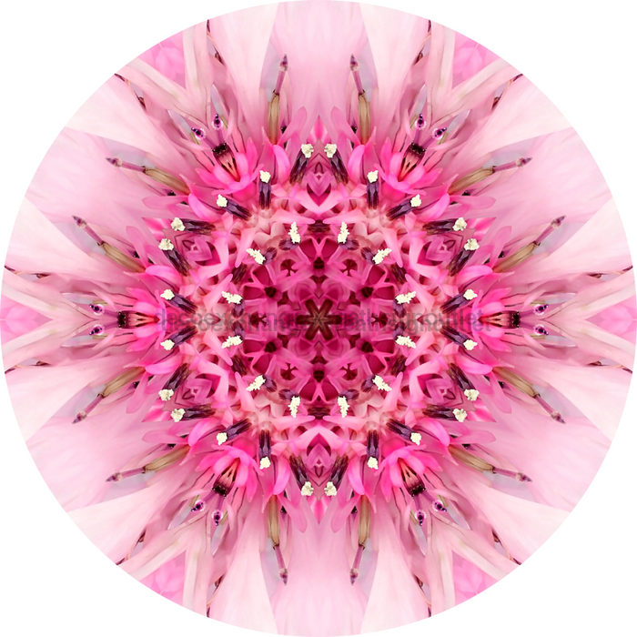Geometric Flower Center Pink Decoe-W-Fc-0007 6 Wood