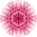 Geometric Flower Center Pink Decoe-W-Fc-0007 6 Wood