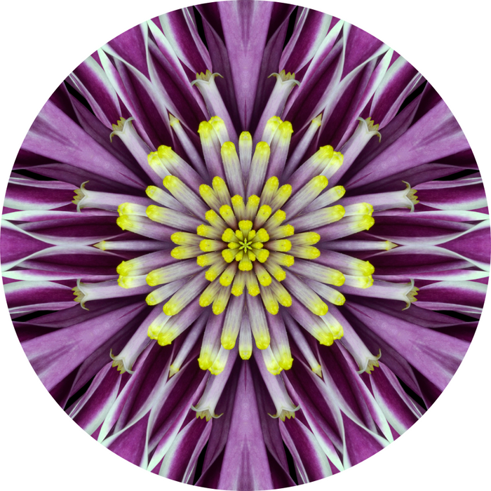 Geometric Flower Center Purple Decoe-W-Fc-0014 6 Wood