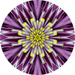 Geometric Flower Center Purple Decoe-W-Fc-0014 6 Wood