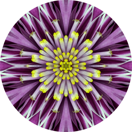 Geometric Flower Center Purple Decoe-W-Fc-0014 6 Wood