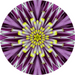 Geometric Flower Center Purple Decoe-W-Fc-0014 6 Wood