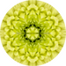 Geometric Flower Center Yellow Decoe-Fc-0011 6 metal