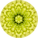 Geometric Flower Center Yellow Decoe-W-Fc-0011 6 Wood