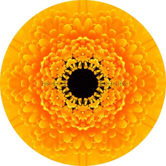 Geometric Flower Center Yellow Decoe-W-Fc-0008 6 Wood