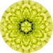 Geometric Flower Center Yellow Decoe-W-Fc-0011 6 Wood