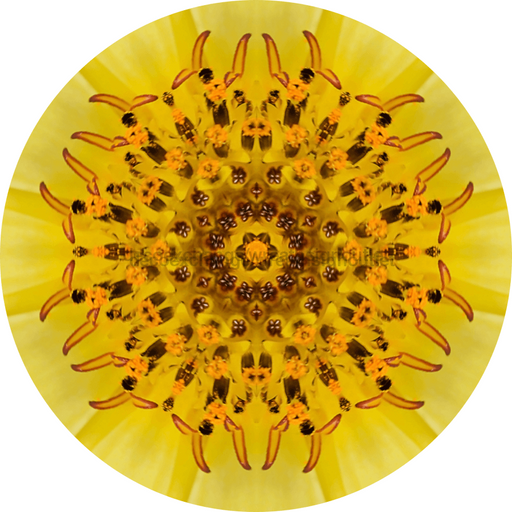 Geometric Flower Center Yellow Decoe-W-Fc-0015 6 Wood
