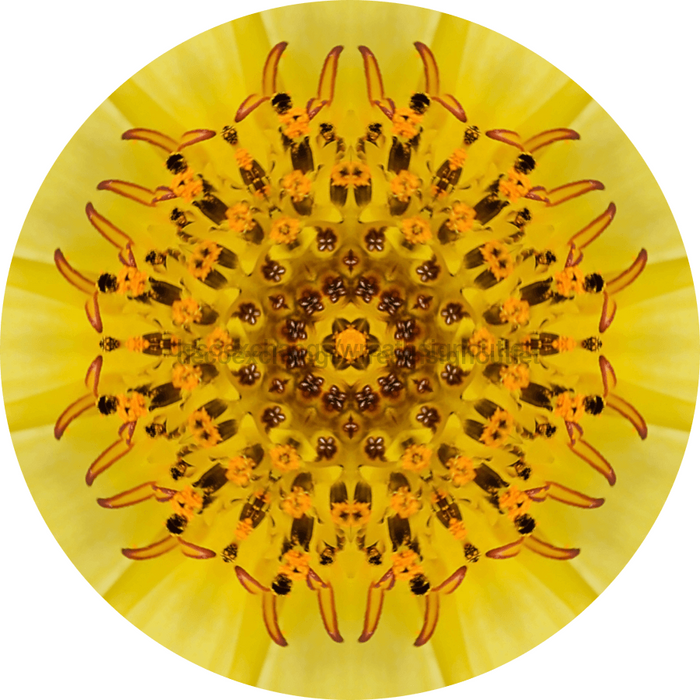 Geometric Flower Center Yellow Decoe-W-Fc-0015 6 Wood