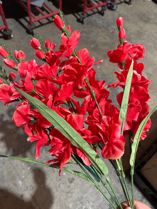 Large Gladiola Bush – 6 Stems Beauty 46560 Greenery