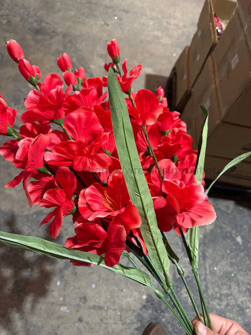 Large Gladiola Bush – 6 Stems Beauty 46560 Greenery