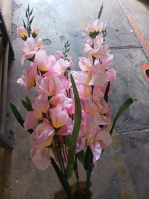 Large Gladiola Bush – 6 Stems Pink 46565 Greenery