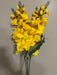 Large Gladiola Bush – 6 Stems Yellow 46562 Greenery