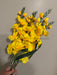 Large Gladiola Bush – 6 Stems Yellow 46562 Greenery