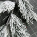 Long Needle Pine Spray 28 39815 Greenery