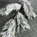 Long Needle Pine Spray 28 39815 Greenery