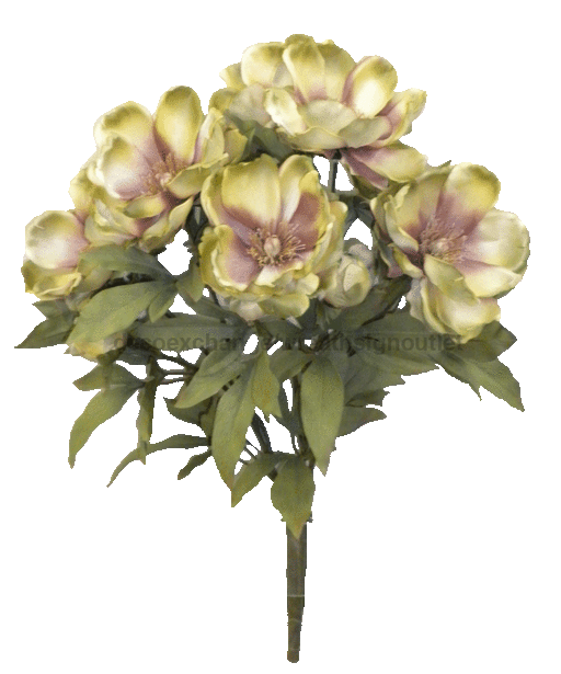 Magnolia Bush X 9 52371-MVGN Greenery