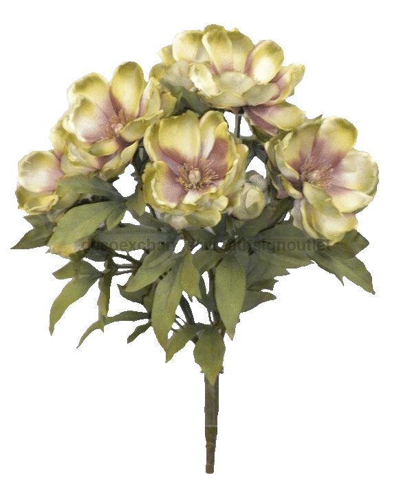 Magnolia Bush X 9 52371-MVGN Greenery