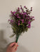 Mini Gypsophila Bush – 12 Stems Lilac 76627 Greenery