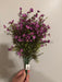 Mini Gypsophila Bush – 12 Stems Lilac 76627 Greenery