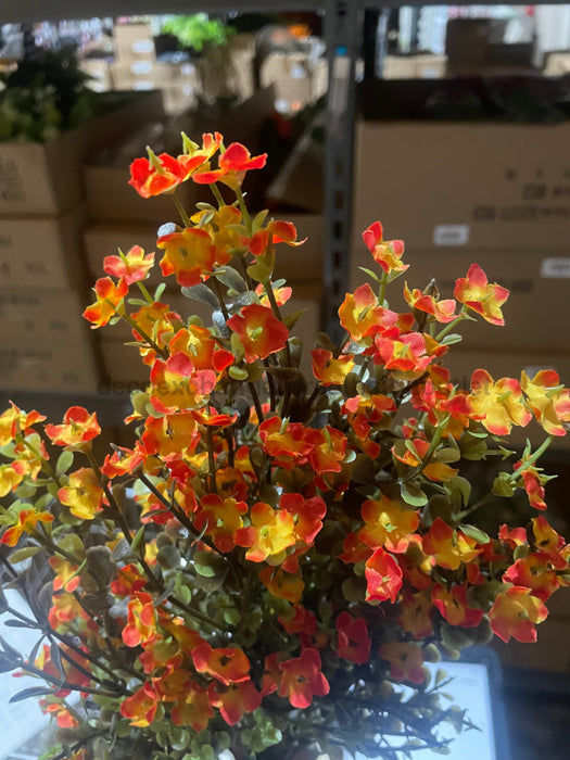 Mini Gypsophila Bush – 12 Stems Orange 76623 Greenery