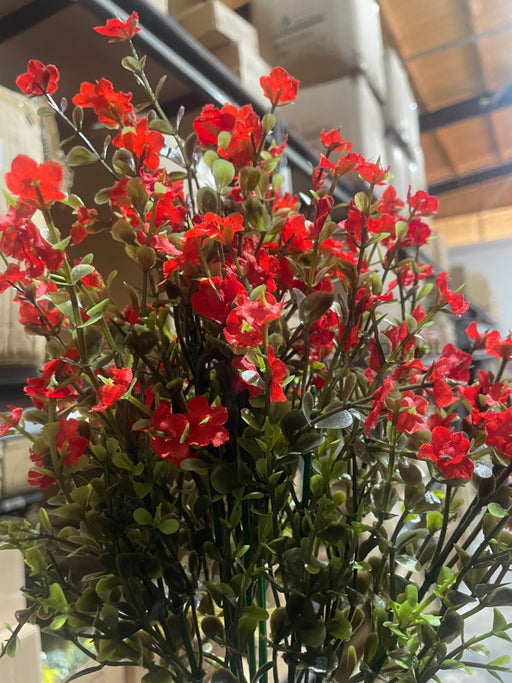 Mini Gypsophila Bush – 12 Stems Red 76626 Greenery